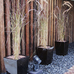 Loose Pebbles - Products