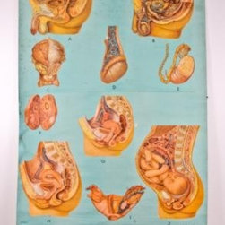 Vintage Posters - Home Decor