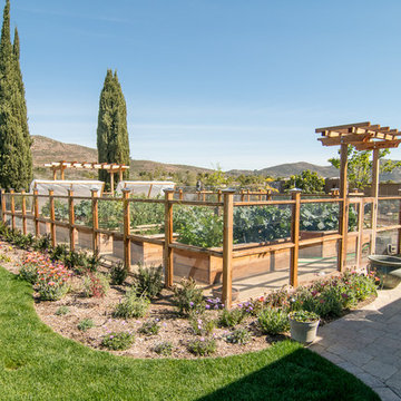Vegetable Paradise
