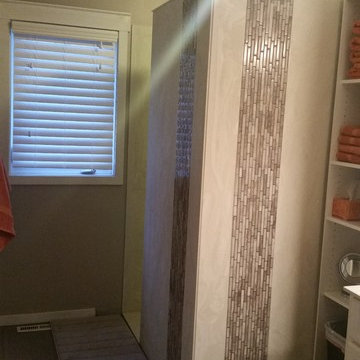 Door less Shower Remodel