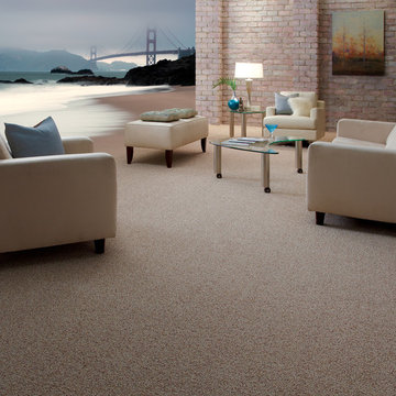 Tuftex Carpets of California Inspirational Room Scenes
