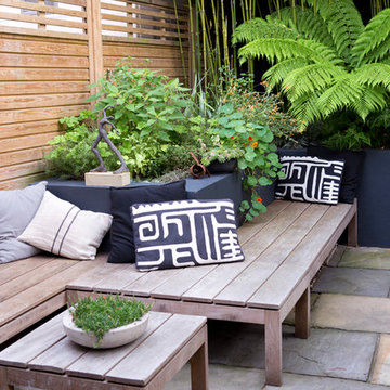 Urban tropical
