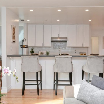3F PREMIUM WHITE MAPLE SHAKER CABINETS