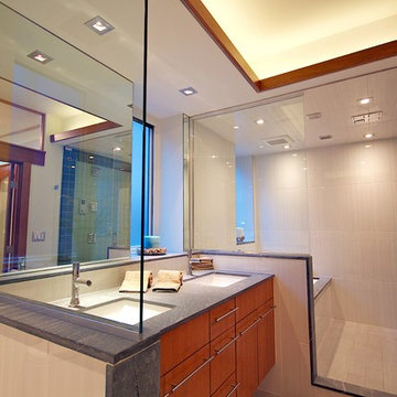 master bath vanity and tub/shower area.