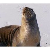 Anne Vickers's photo