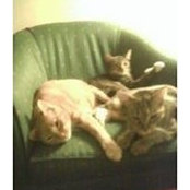Matthew Cardinale's photo