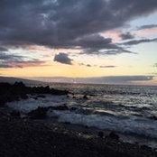 Gina Colton's photo