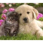 Sandy Zander's photo
