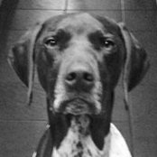 Daniel Theobald's photo
