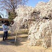 Yasuhiro Watanabe's photo