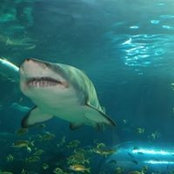 Rick Campbell's photo