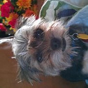 Julia Burson Boehme's photo