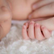 Photo de Veronica Vana