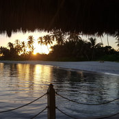 A. Nagy's photo