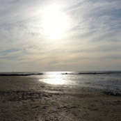 Eric Rubinstein's photo