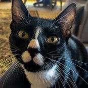Cindy Gonos's photo