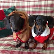 Krista Watt's photo