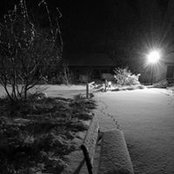 Philippe Chamot's photo