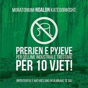 Foto von Valbi Ami