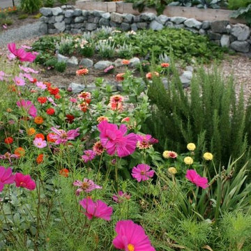Kirkland Permaculture Garden