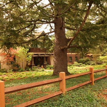 Tapestry lawn in Portola Valley