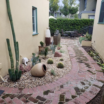 Cactus Garden and Native Garden!