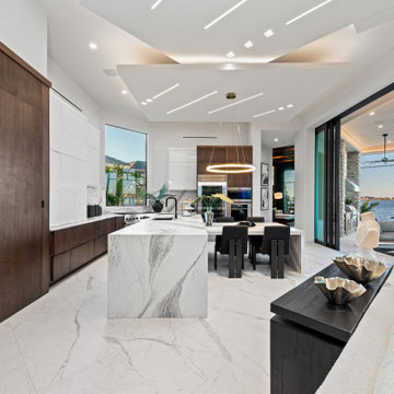 Sand Dollar Model