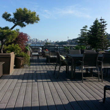 Edible Rooftop Garden
