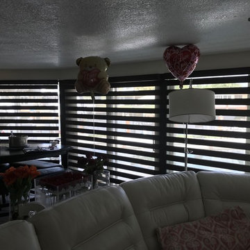 Zebra Illusion Blinds - Pompano Beach, Florida
