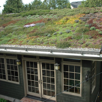 Green Roofs