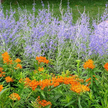 Planting Combinations by London Landscapes LLC
