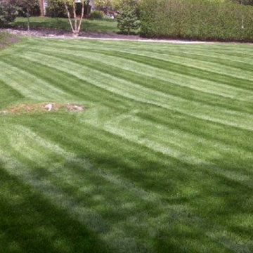 Our Work