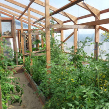 greenhouse