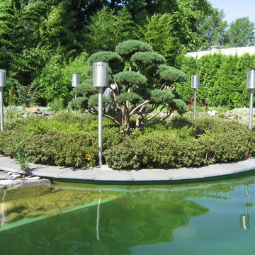 Schwimmteichanlage