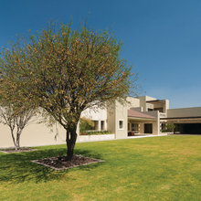 Mexican Modern