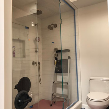 Steam shower door