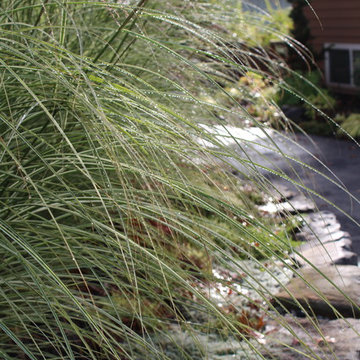 Curb appeal, mixing old with new
