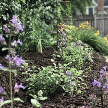 Pollinator Gardens