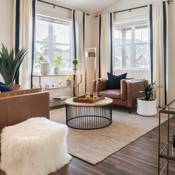 Living Room Designs