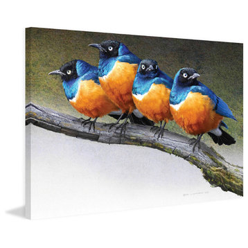 "Grumpy Starlings" Painting Print on Canvas by Chris Vest
