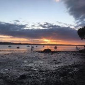 Aline Neilson's photo