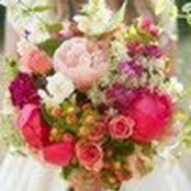 Lindsay Page's photo