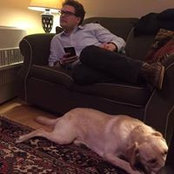 Sean Donnellan's photo