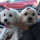 Kerry Cavazos's photo