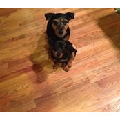 John Costello's photo