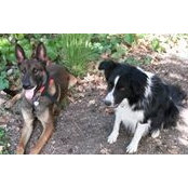 Maureen Milligan's photo