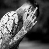 Karim Mohamed's photo
