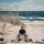 sebastian_roese