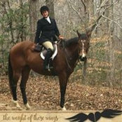 Ann Bueche's photo