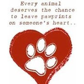 Lori Lassiter's photo
